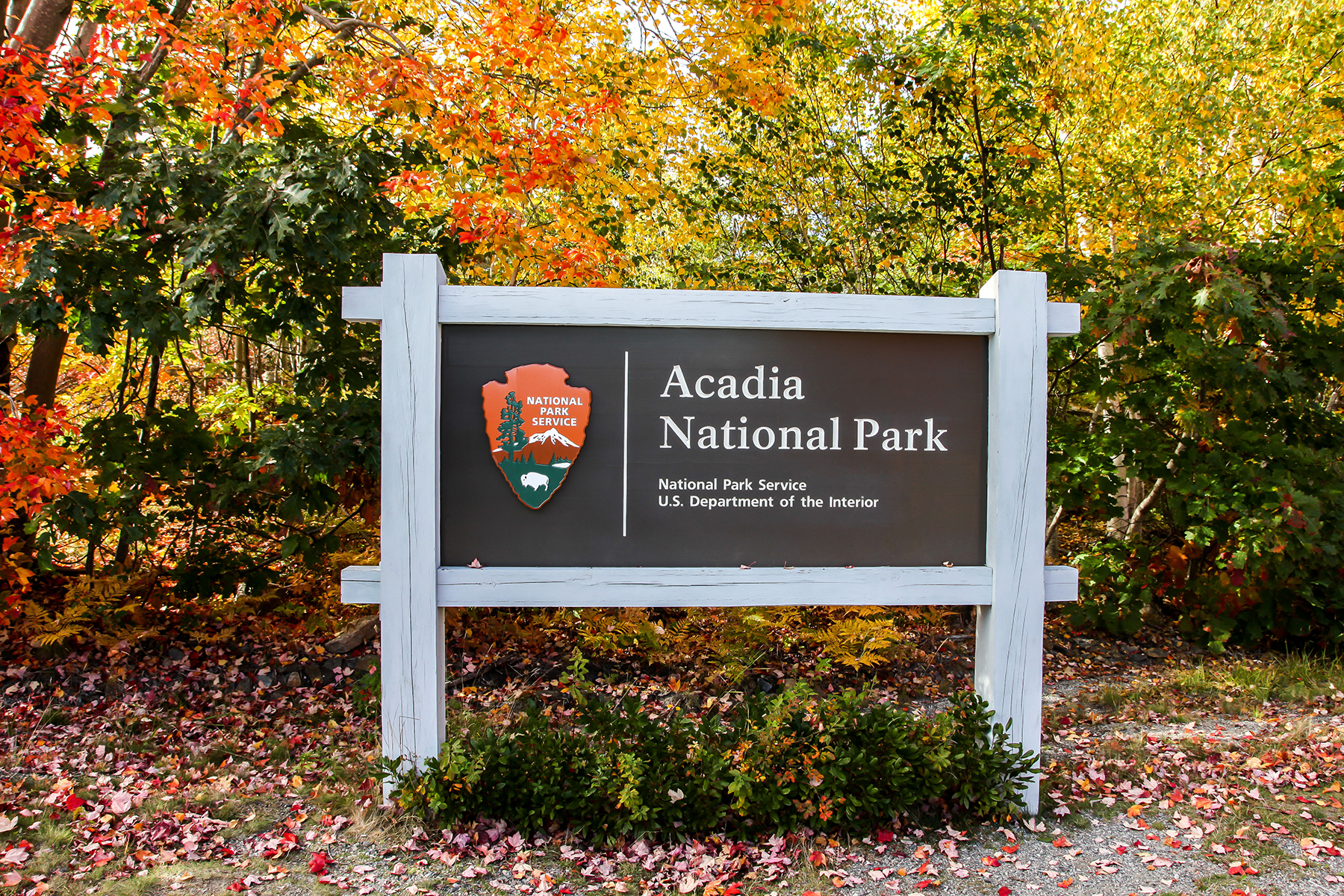 Acadia National Park – Maine. More than 3.9 million visitors