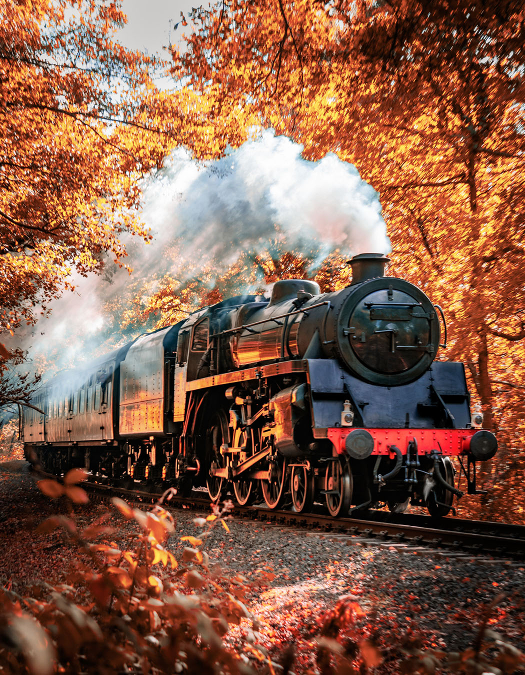 Top Scenic Railroads for Fall Foliage in the East