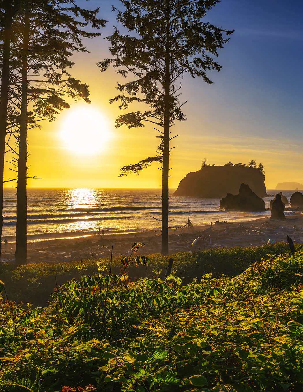 Top 10 USA Sunset Destinations to Visit