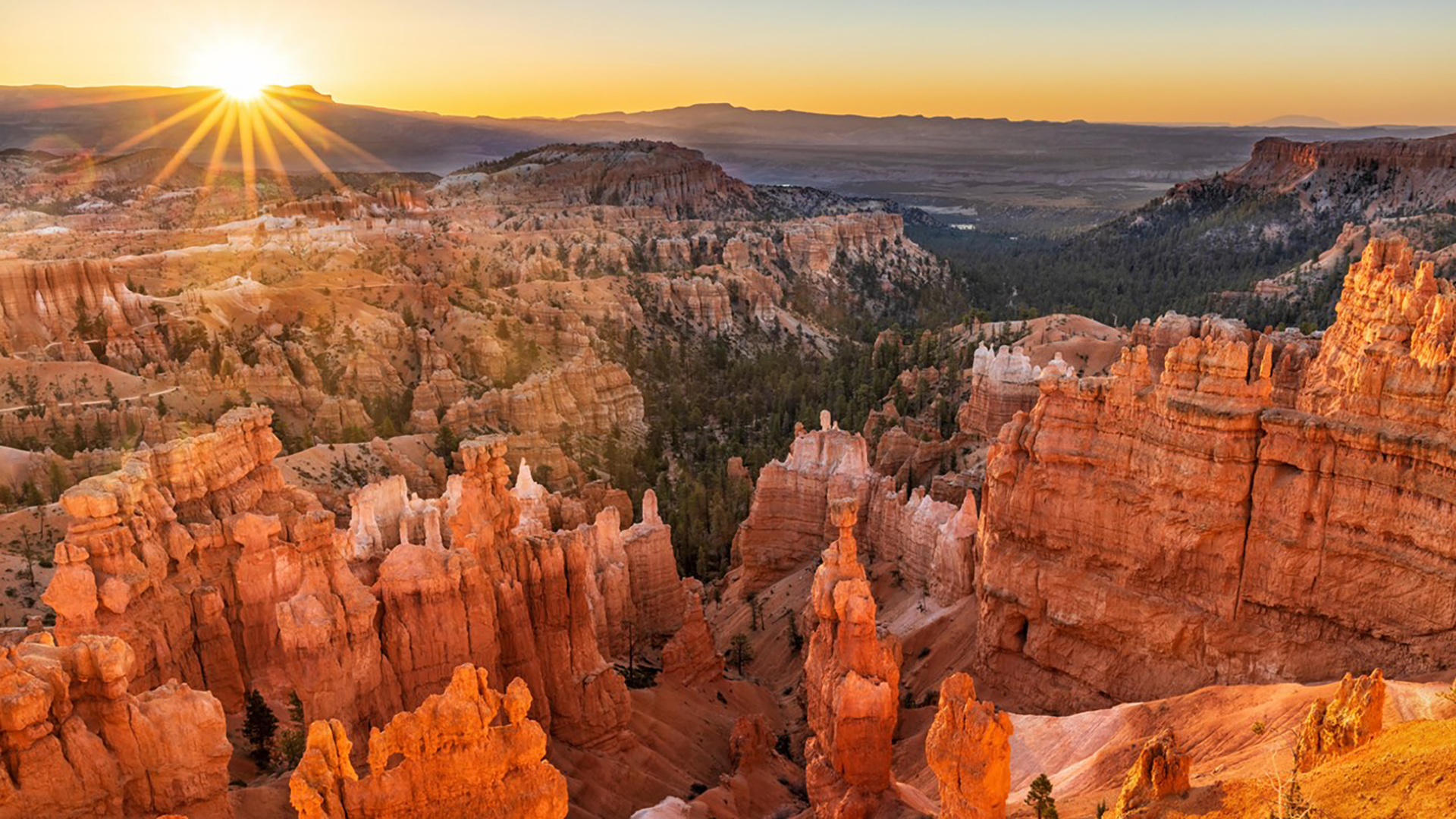 Chasing the First Light: The Best Places to See Sunrise in Bryce Canyon National Park